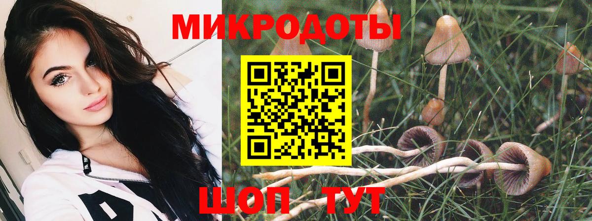Галлюциногенные грибы прущие грибы  Вход с VPN  Кстово  Псилоцибиновые грибы прущие грибы 